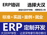 ERP 定制开发零基础零风险就业班